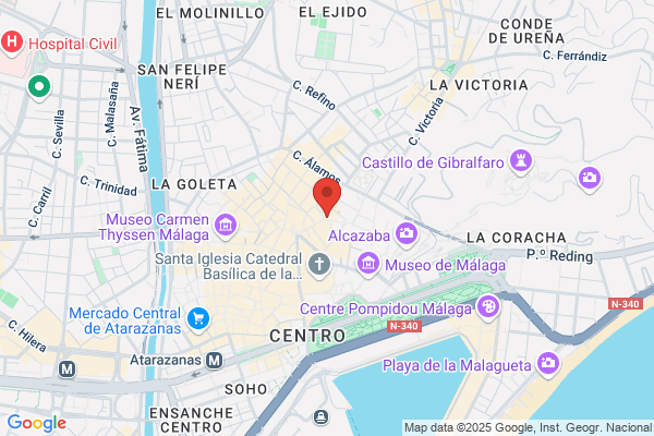 Ilustre Colegio Oficial De Titulados Mercantiles Y empresariales