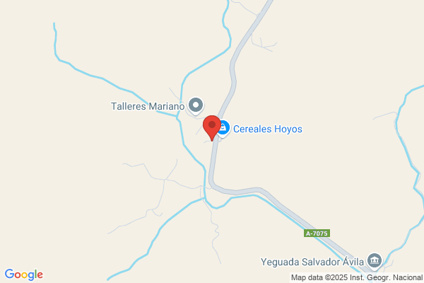 Crisol De Frutos Secos