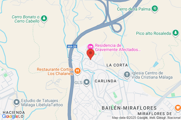 Instituto Psicopedagogico De La Milagrosa