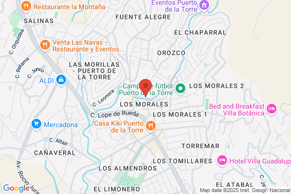 Talleres Hijos De Miguel Castilo S.L.