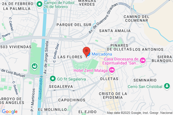 Talleres Mecanicos Nagauto S. L.
