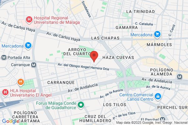 Instituto Meridional Del Corazon