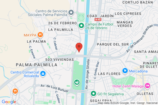 Cervilla Palomino f. J.