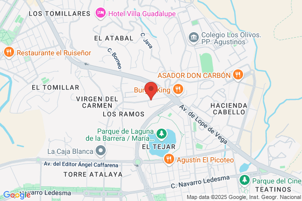 Cabrera Tellez s.