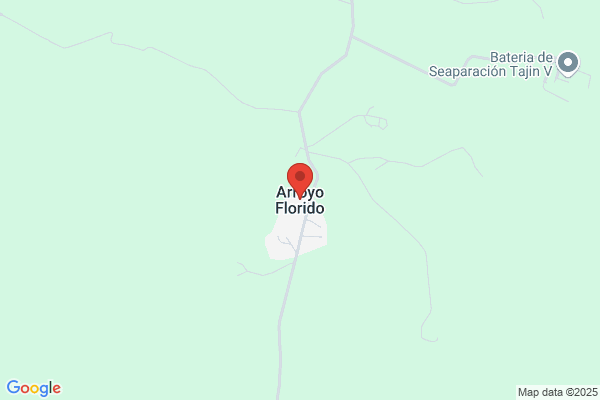 Arroyo Florido a.
