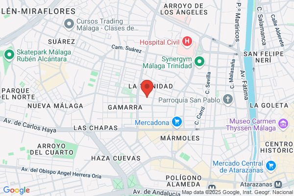 Godinez Guerrero f.