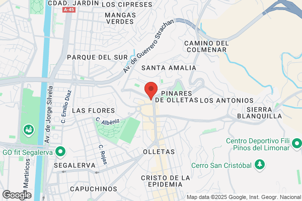 Seguridad Integral Málaga