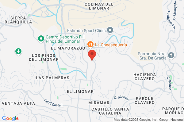 Ingenieria Y Consultoria Del Sur S.A.