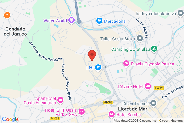Comercial Lloret S. A.