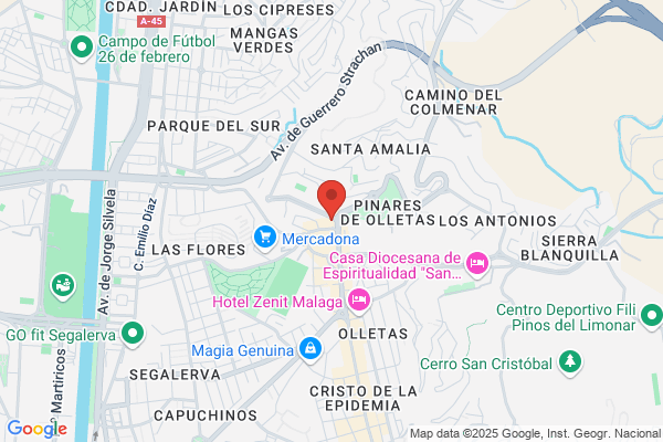 Compañia De Seguridad S. A.