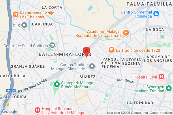 Multiservice Tv Malaga