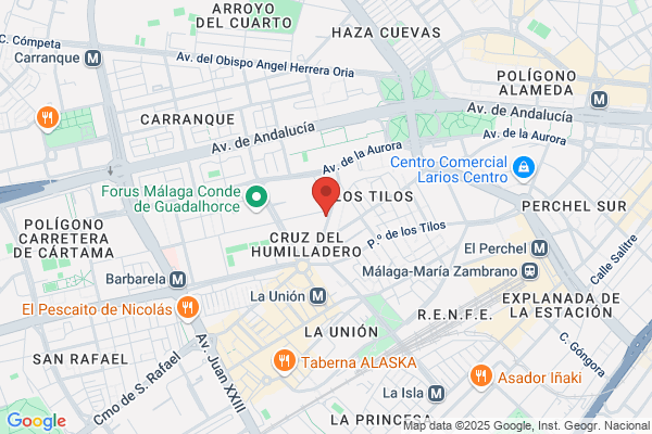 Autocares Flores
