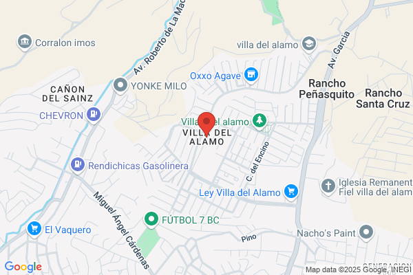 De La Villa Del Alamo, Ana
