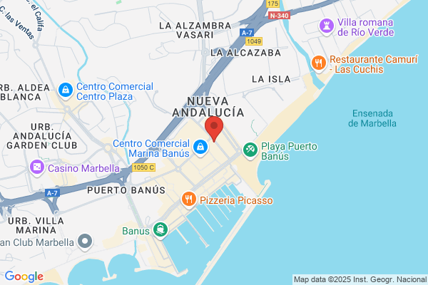 Marbella Businesses for sale