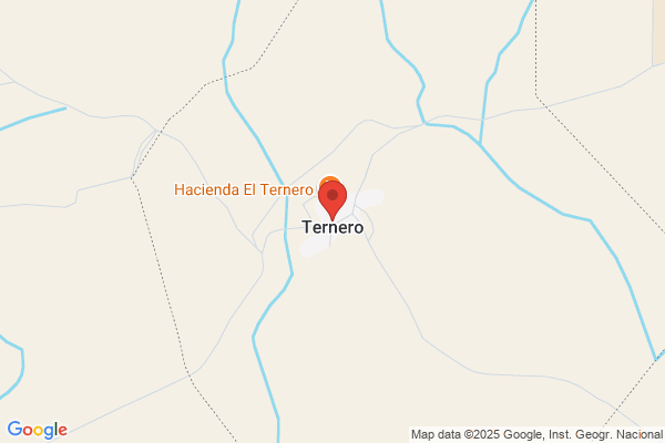 Ternero Alcantara a.