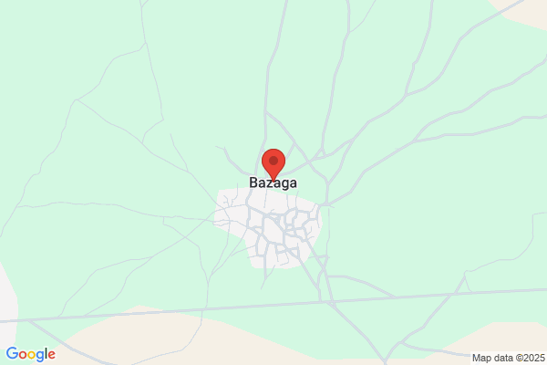 Bazaga Arias i.