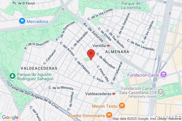 Cepa Castilla m.