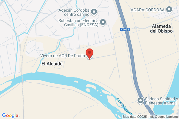 Prado Alcaide a.