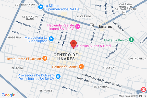 Garcia Linares p.