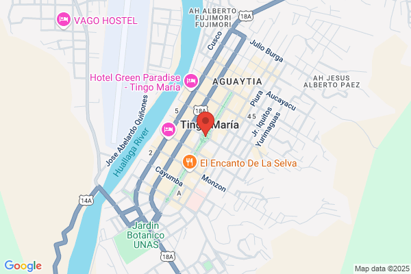 Martinez-Almeida Garcia r.