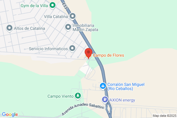 Flores Campo a.