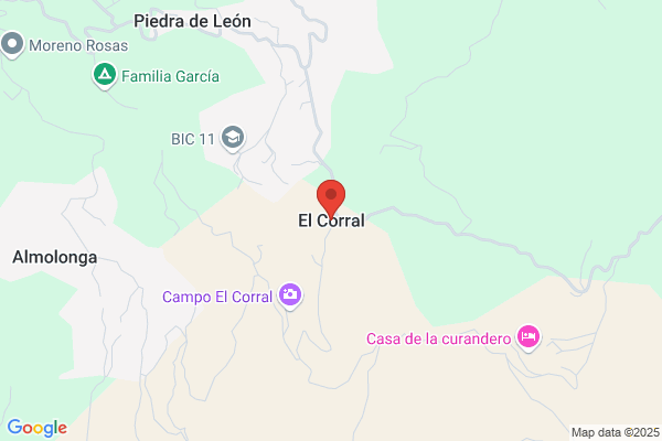 Corral Flores j. A.