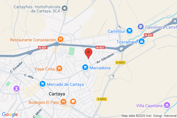 Talleres Cartaya S.L.