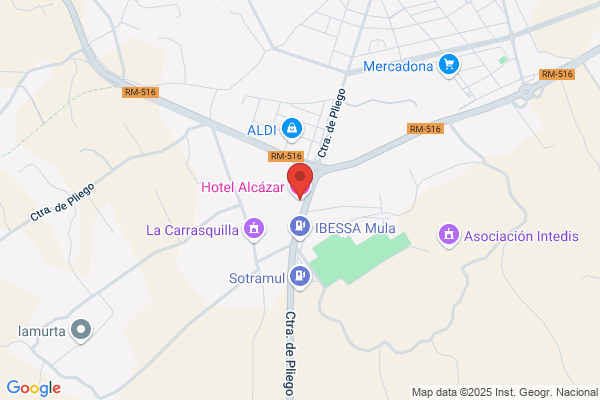 Alcazar Ruiz d.