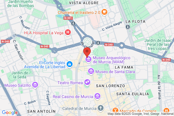 Viajes Diana S. A.