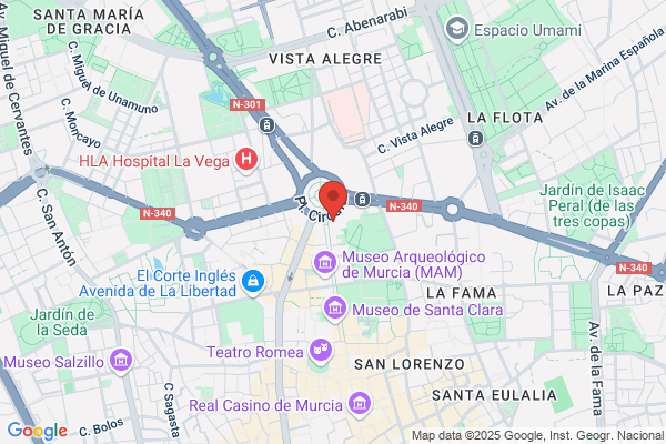 Viajes Halcon S.A.