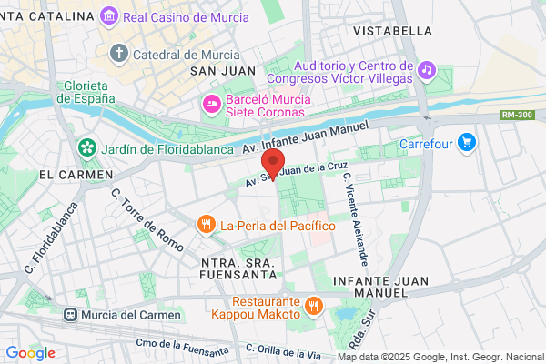 Transportes Y Mudanzas Domingo