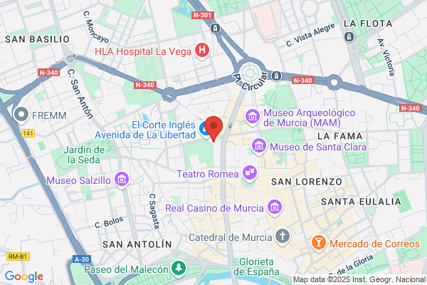 Mediterraneo Servicios De Gestion Inmobiliaria S. A.