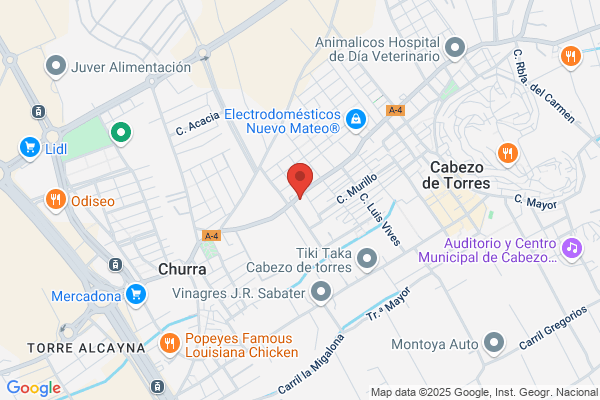 Hijos De Antonio Molina S.L.