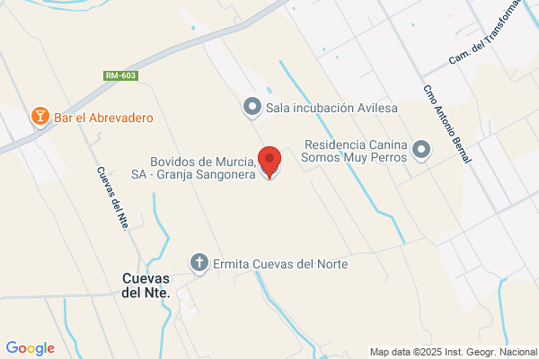 Bovidos De Murcia S.A.