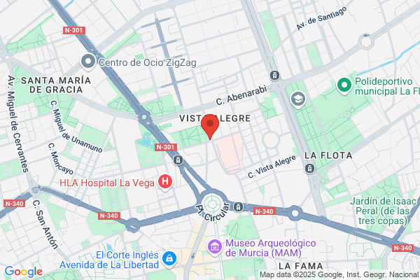 Aparcamiento Vistalegre S.L.