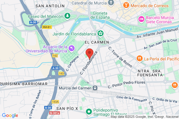 Armeria Del Carmen
