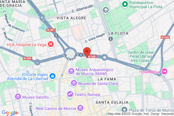 Pidal Allende-Salazar p.