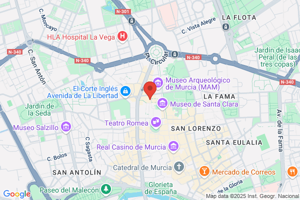 Asociacion Pro Musica De Murcia