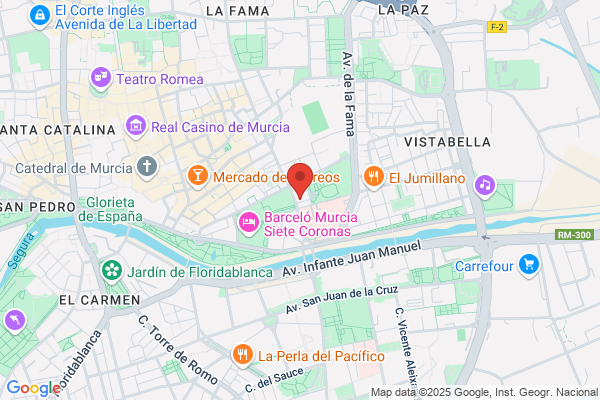 Encarni Vidente y Terapeuta