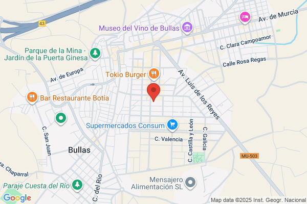 Centros De Salud (Centros De Salud Area iv c.S. bullas)