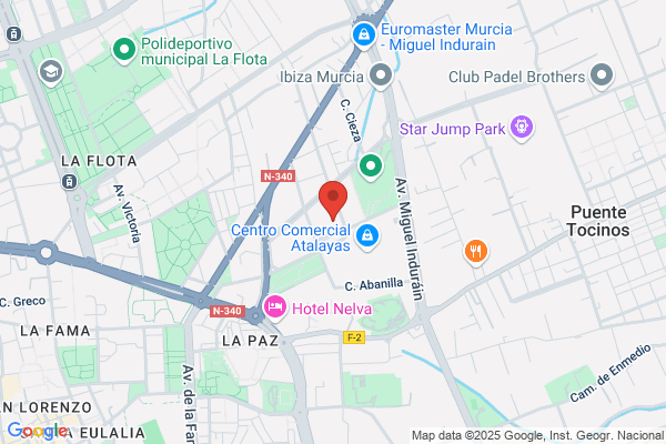 Federacion Actividades Subacuaticas Region De Murcia