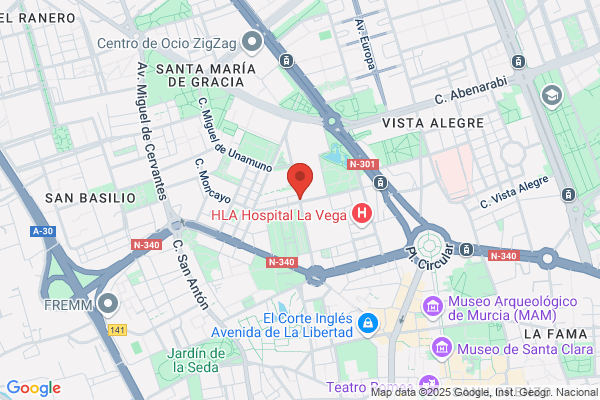 Federacion Murciana De Balonmano