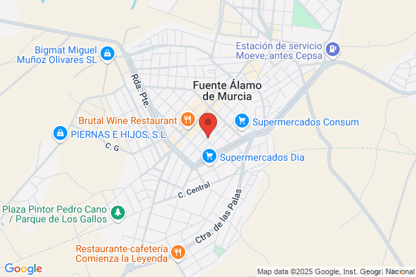 Publinformatica Alamo S.L.L.