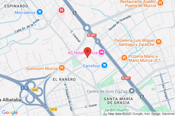 Gnz Ingenieria Y Obras S.L.