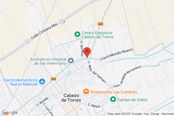 Inversiones Edificaciones Sodelor S.L.