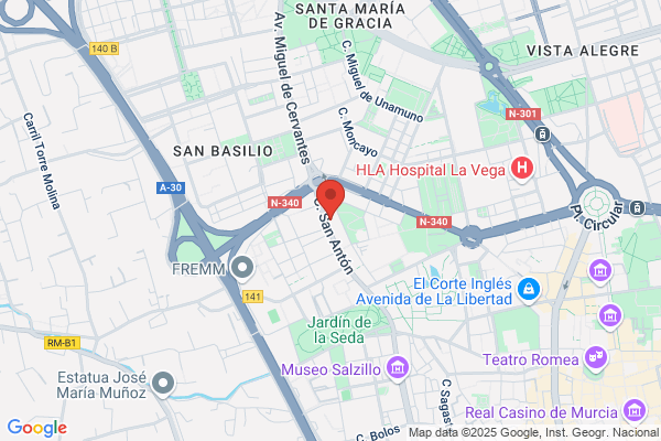 Grupo Autoescuelas San Anton-A E S A S.L.