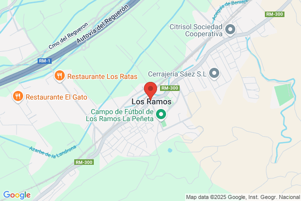 Ramos Caravaca m. F.