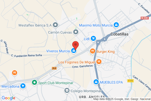 Proyecto Educativo Integral Gonzalez Valverde S.A.L.