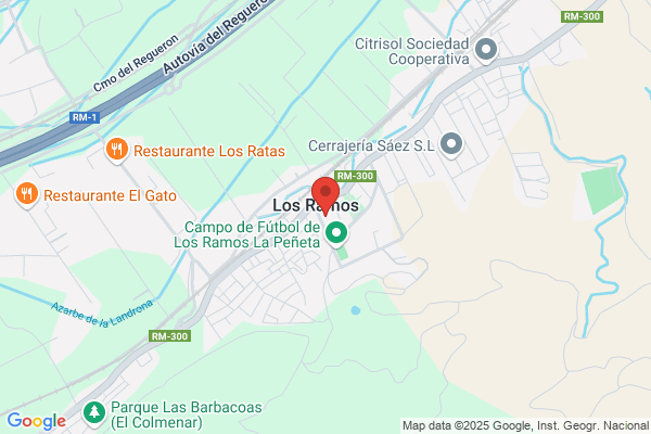 Colegio Nacional Francisco Salzillo