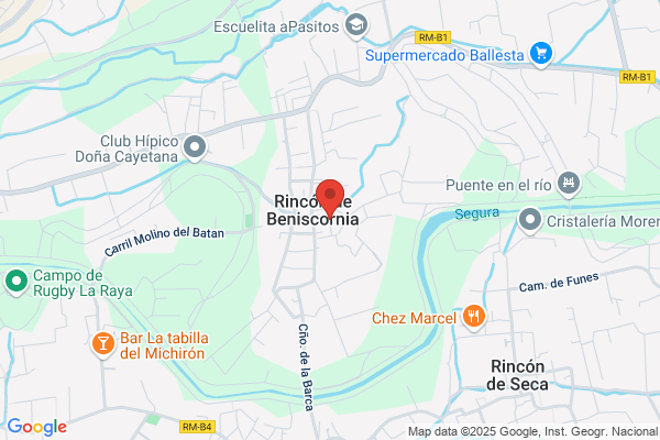 Colegio Publico Rincon De Beniscornia